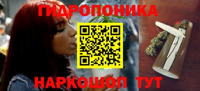 молекула духа Берёзовский