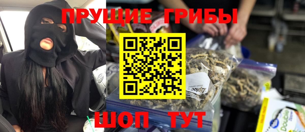 Псилоцибиновые грибы GOLDEN TEACHER  Вход с VPN  Калининград 