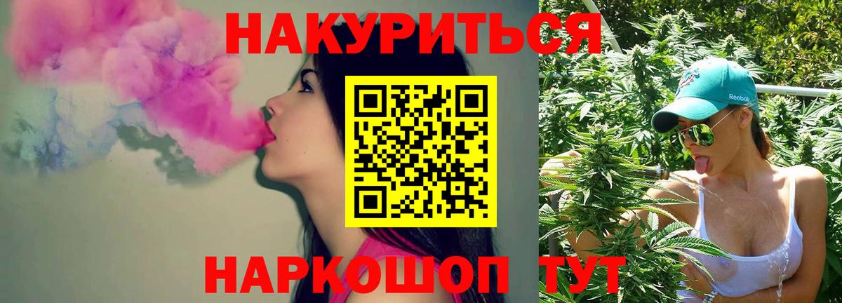 Каннабис сатива Калининград